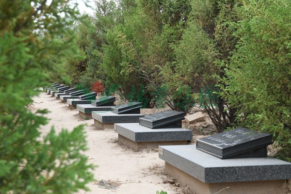 美高梅集团4688am(唯一)有限公司官网