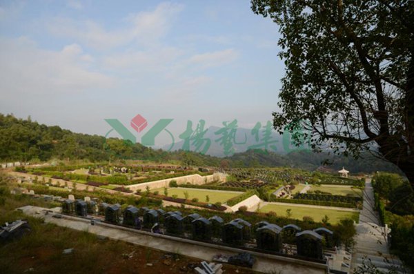 美高梅集团4688am(唯一)有限公司官网