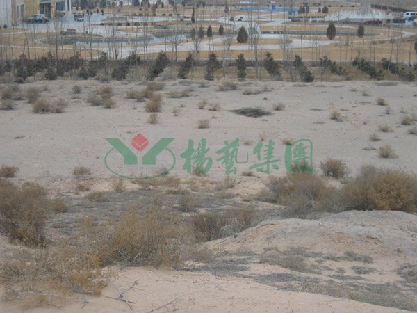 美高梅集团4688am(唯一)有限公司官网