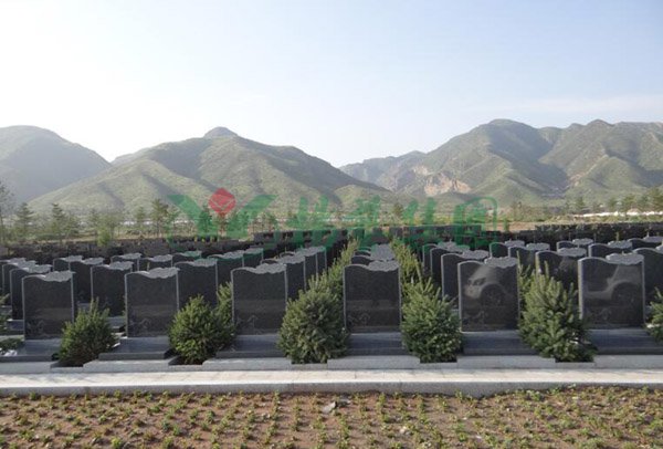 美高梅集团4688am(唯一)有限公司官网