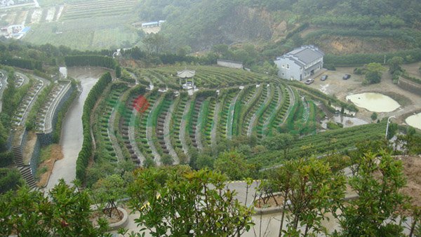 美高梅集团4688am(唯一)有限公司官网