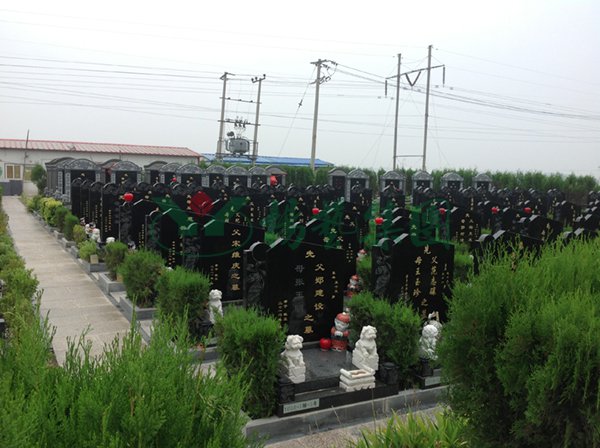 美高梅集团4688am(唯一)有限公司官网