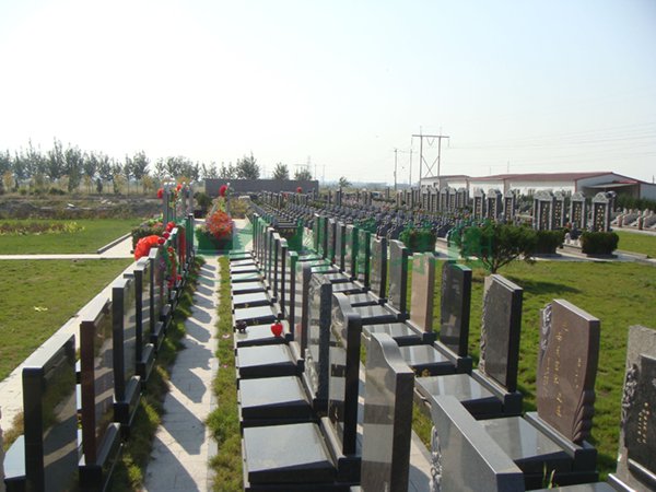 美高梅集团4688am(唯一)有限公司官网