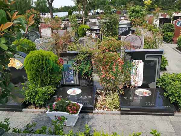 美高梅集团4688am(唯一)有限公司官网