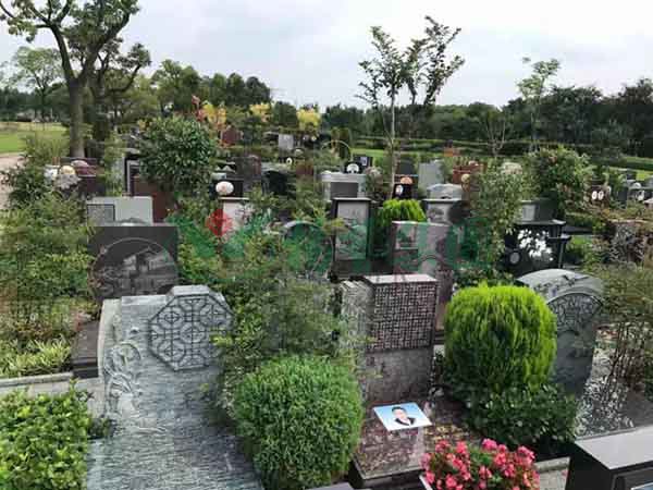 美高梅集团4688am(唯一)有限公司官网