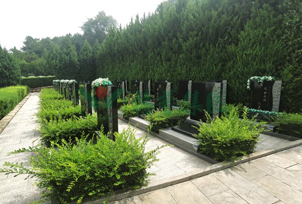 美高梅集团4688am(唯一)有限公司官网