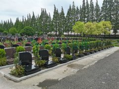 上海市淀山湖归园蒲香苑-1