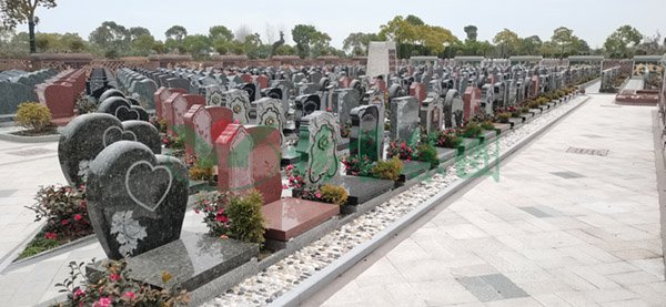 美高梅集团4688am(唯一)有限公司官网