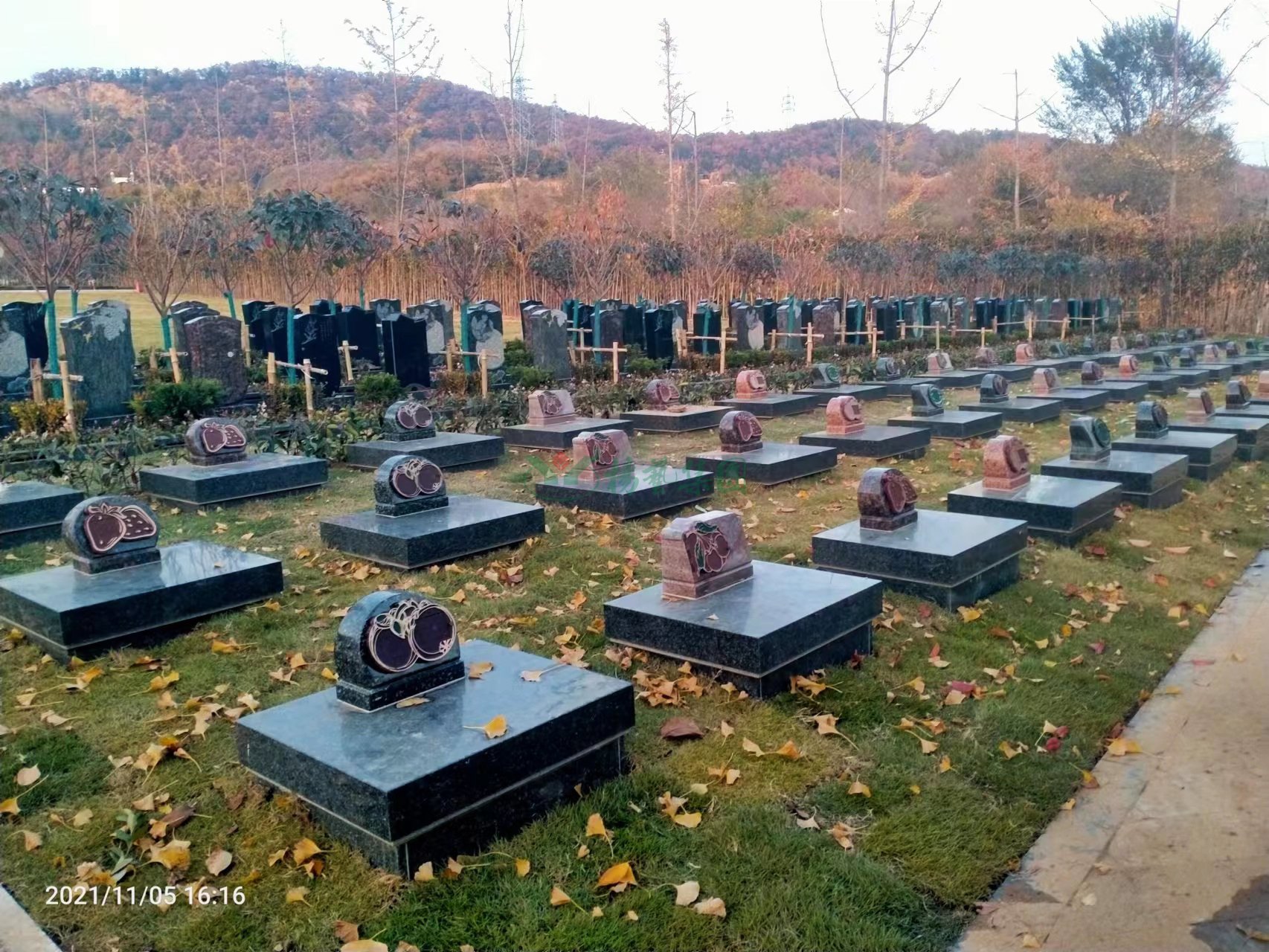 美高梅集团4688am(唯一)有限公司官网