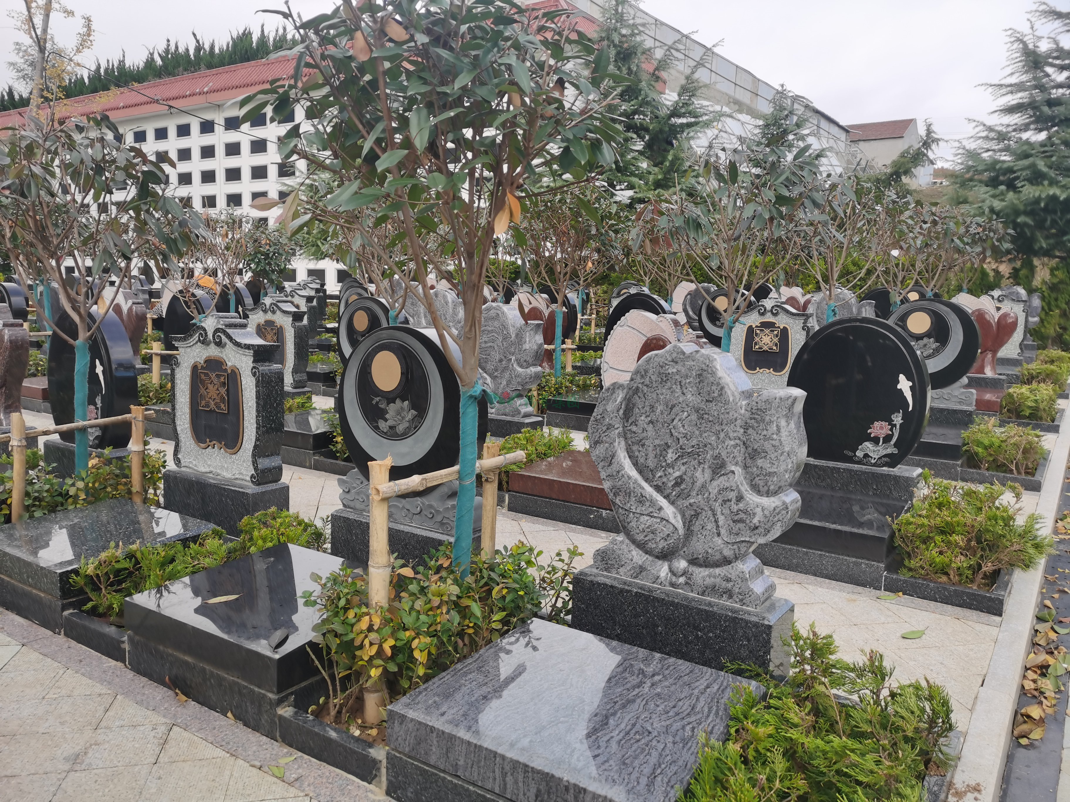 美高梅集团4688am(唯一)有限公司官网