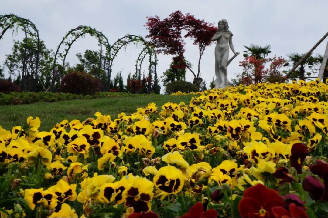 美高梅集团4688am(唯一)有限公司官网