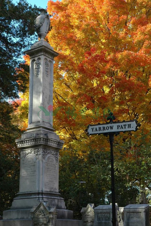 美高梅集团4688am(唯一)有限公司官网