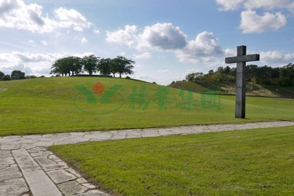 美高梅集团4688am(唯一)有限公司官网