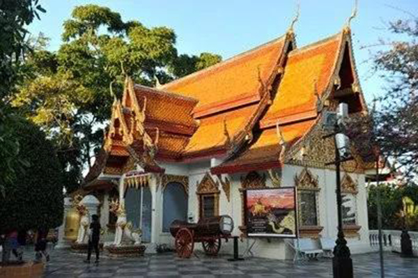 美高梅集团4688am(唯一)有限公司官网