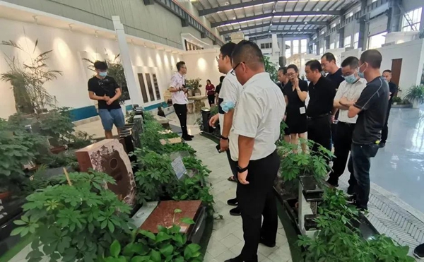 美高梅集团4688am(唯一)有限公司官网