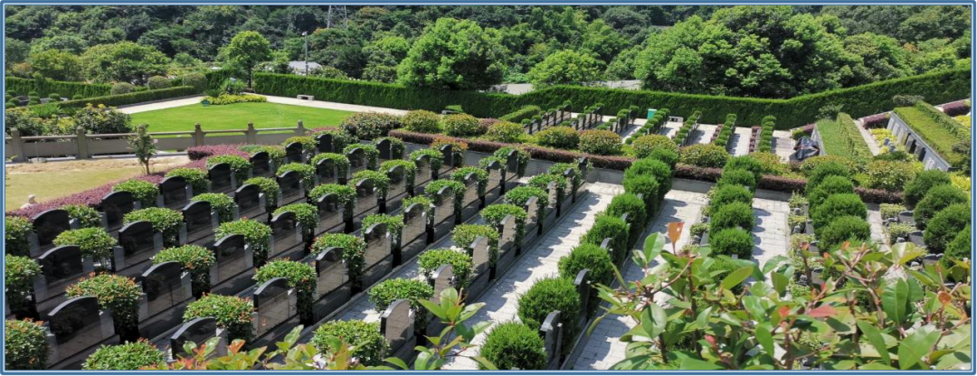 美高梅集团4688am(唯一)有限公司官网