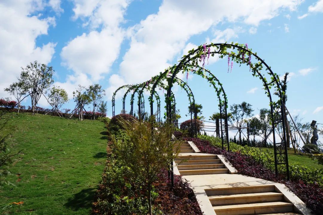 美高梅集团4688am(唯一)有限公司官网