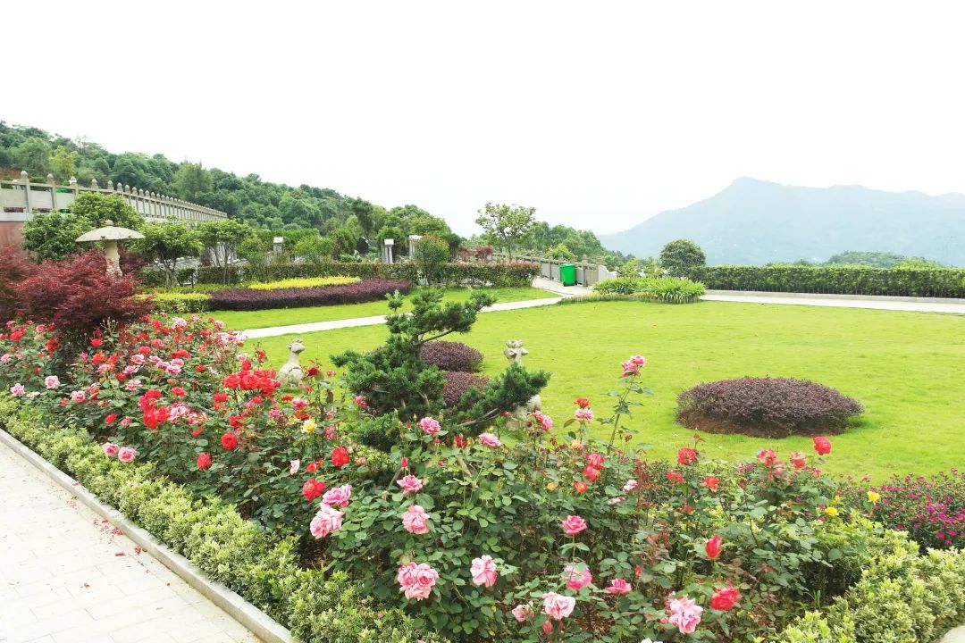 美高梅集团4688am(唯一)有限公司官网