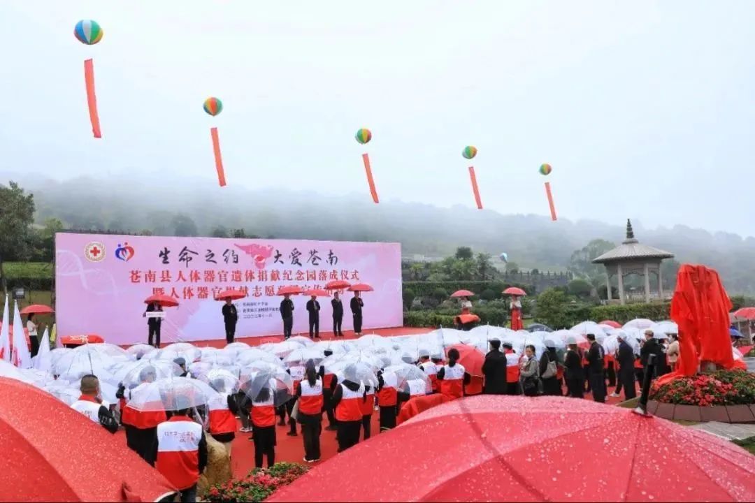 <b>生命之约，，，，，大爱玉龙</b>