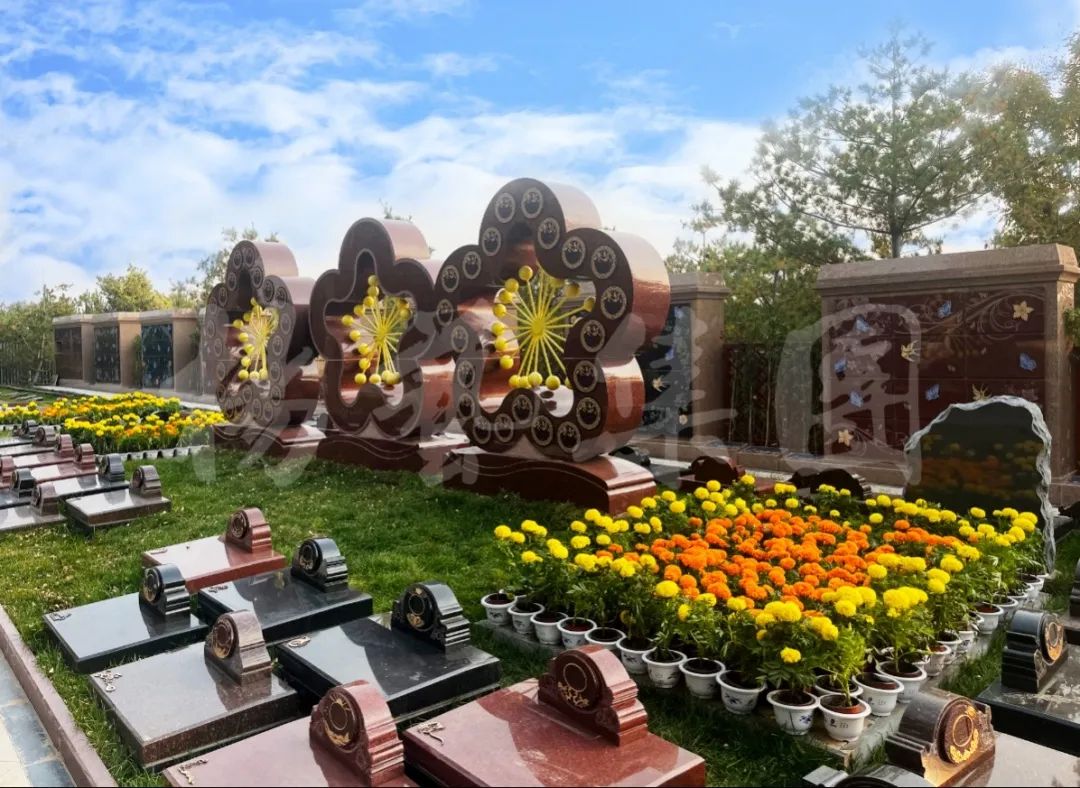 <b>逐光而来 爱归自然</b>