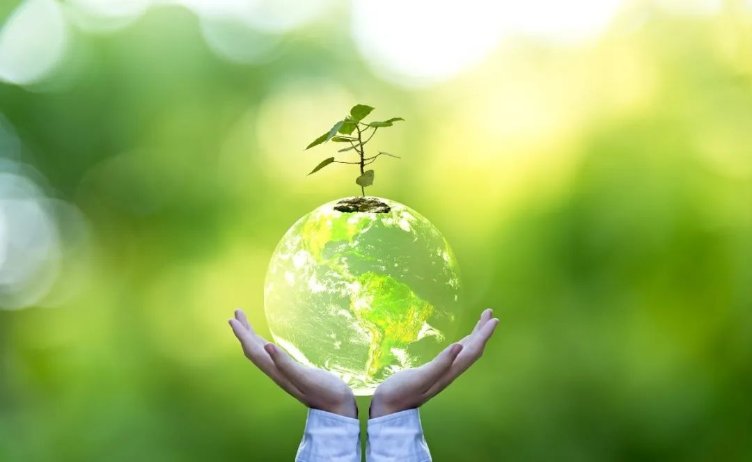 美高梅集团4688am(唯一)有限公司官网