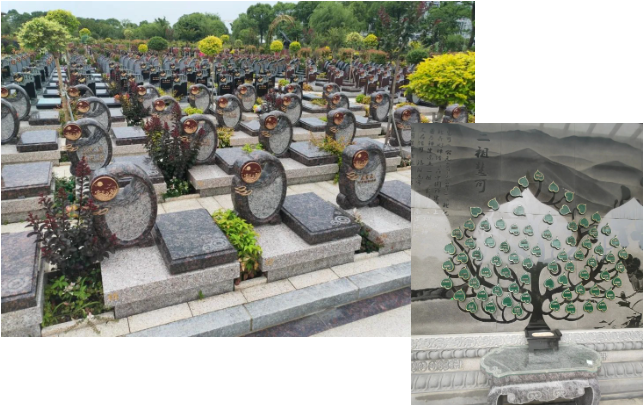 美高梅集团4688am(唯一)有限公司官网