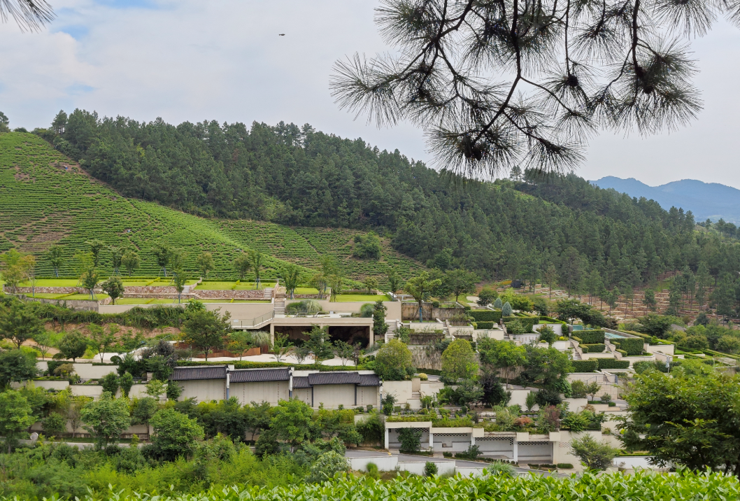 美高梅集团4688am(唯一)有限公司官网