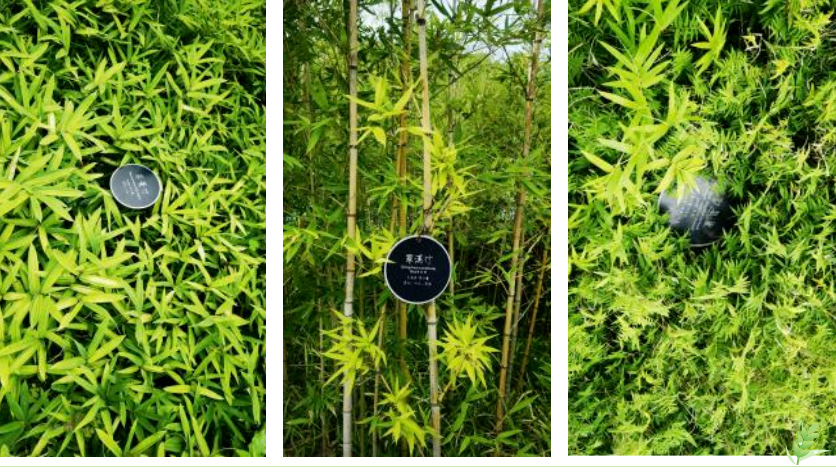 美高梅集团4688am(唯一)有限公司官网