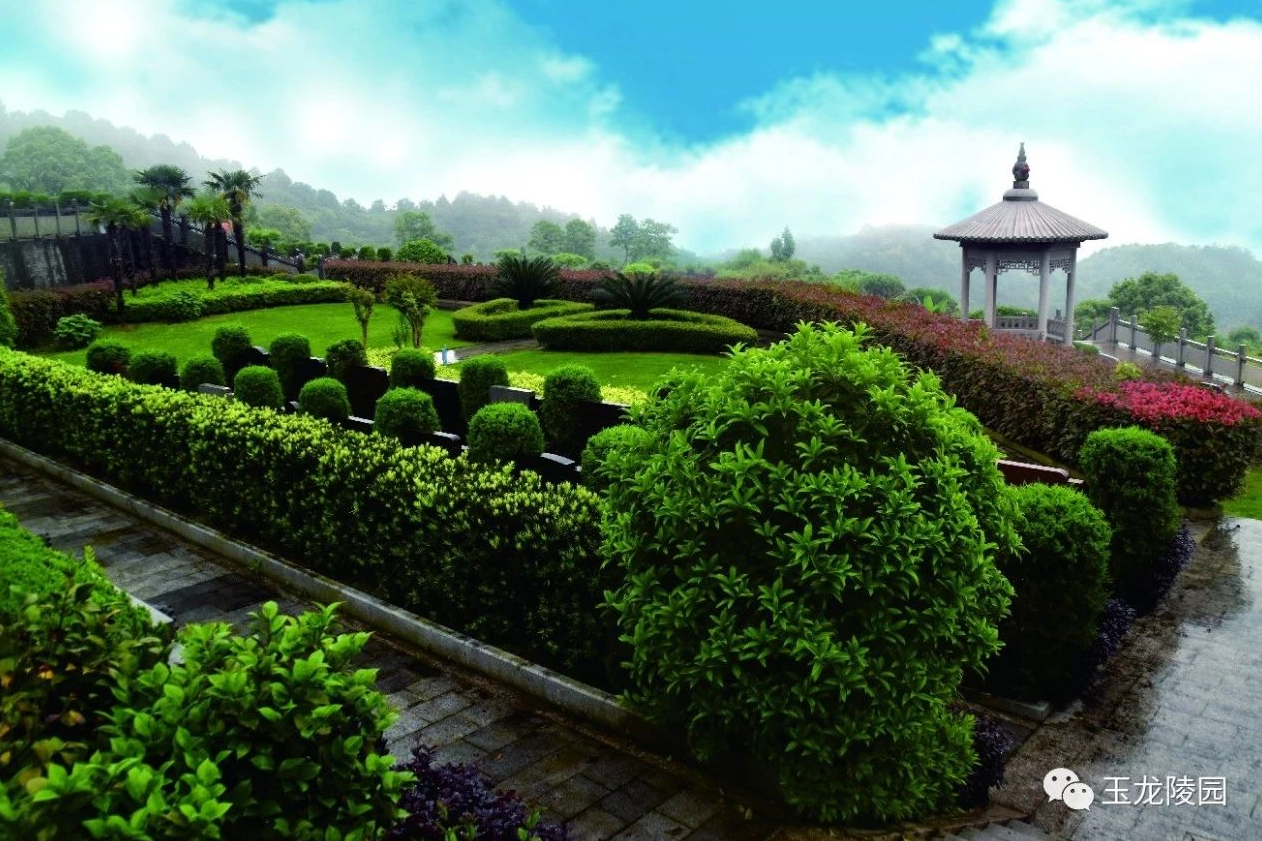 美高梅集团4688am(唯一)有限公司官网