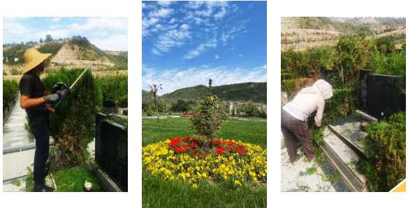 美高梅集团4688am(唯一)有限公司官网