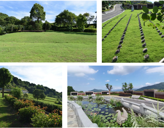 美高梅集团4688am(唯一)有限公司官网