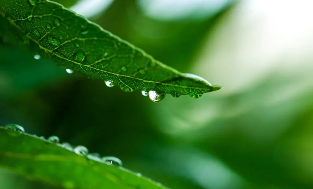 美高梅集团4688am(唯一)有限公司官网