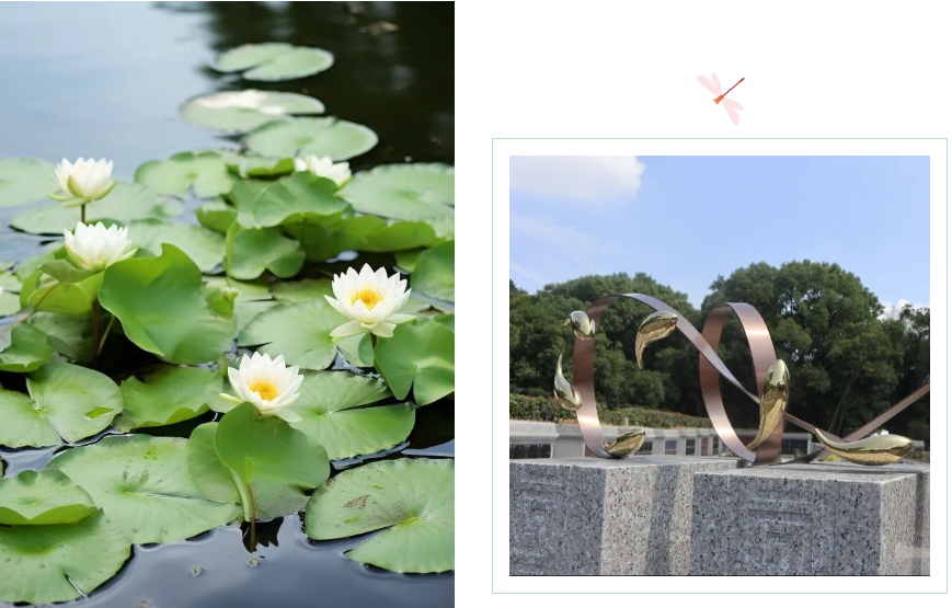 美高梅集团4688am(唯一)有限公司官网