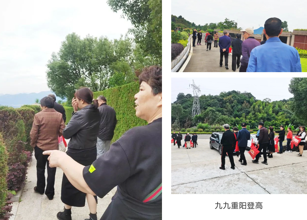 美高梅集团4688am(唯一)有限公司官网