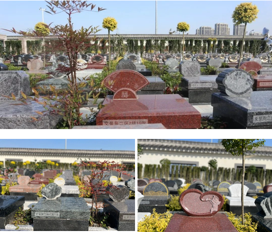 美高梅集团4688am(唯一)有限公司官网