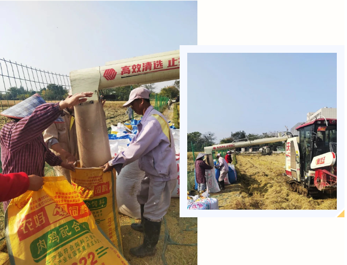 美高梅集团4688am(唯一)有限公司官网