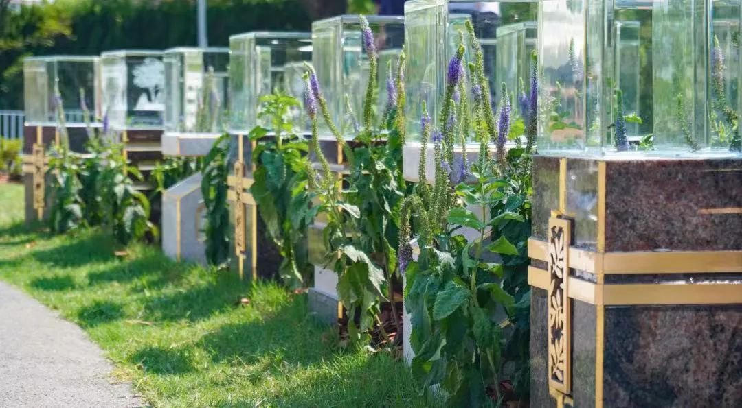 美高梅集团4688am(唯一)有限公司官网