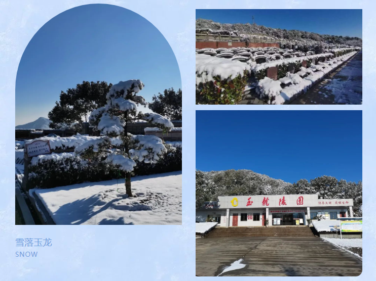 美高梅集团4688am(唯一)有限公司官网