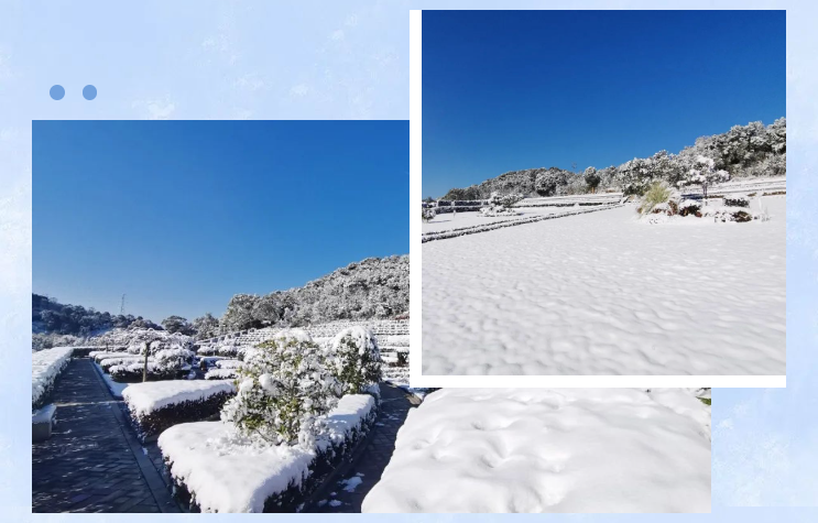 美高梅集团4688am(唯一)有限公司官网