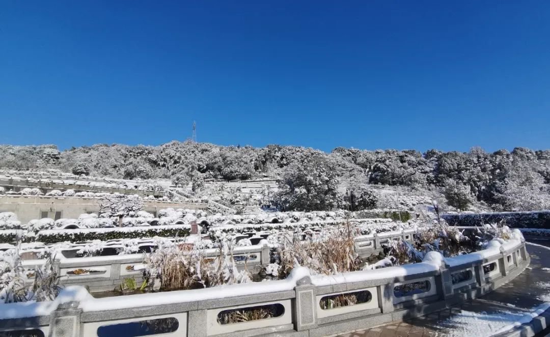 美高梅集团4688am(唯一)有限公司官网