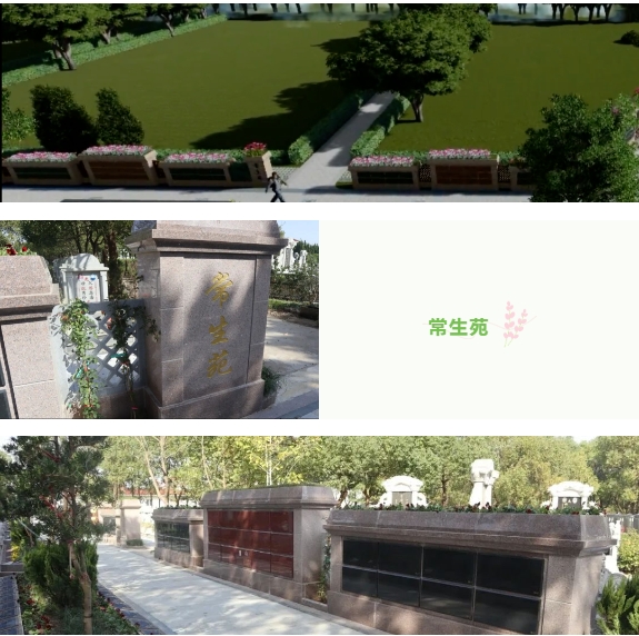 美高梅集团4688am(唯一)有限公司官网