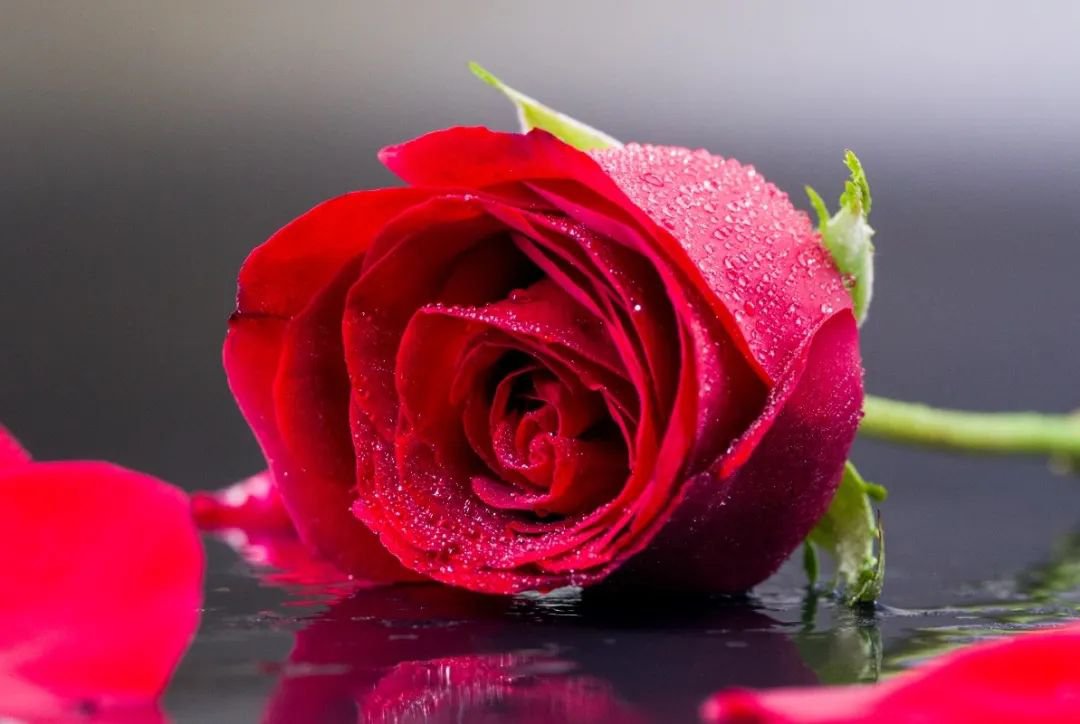 女神节 | 致敬“她”实力，，，，共筑优美未来