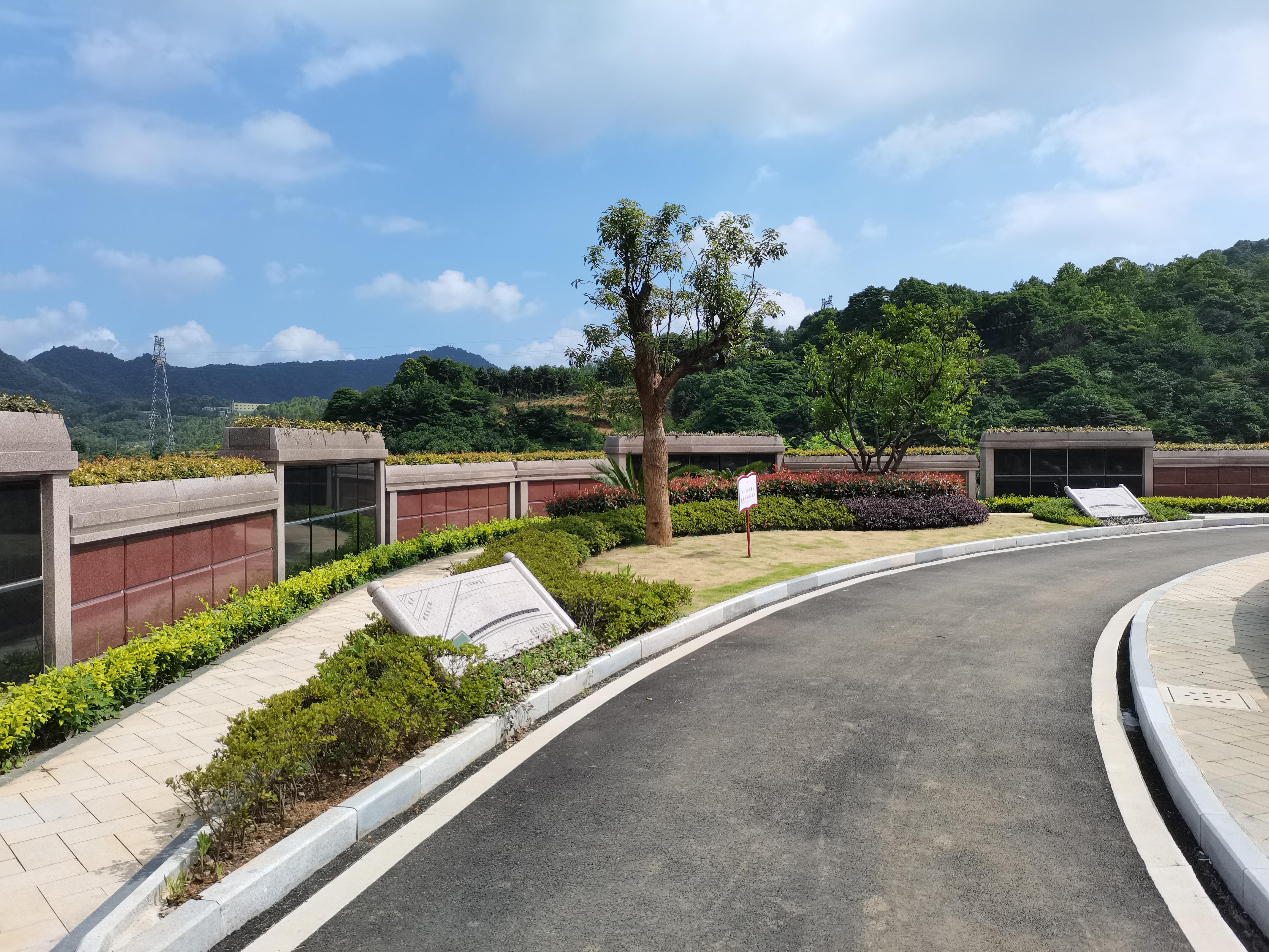 海葬和树葬哪个好？？？？？？？？两种生态葬祭方法的选择与意义