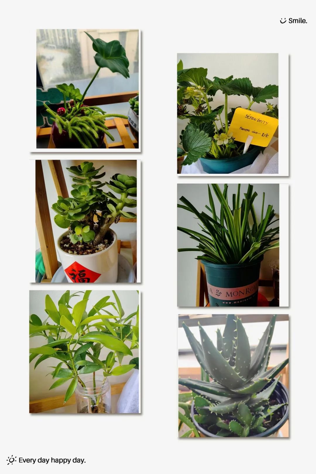 美高梅集团4688am(唯一)有限公司官网