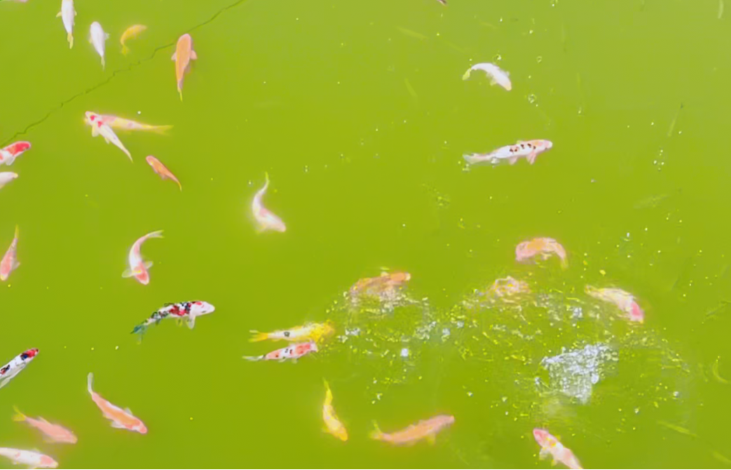 美高梅集团4688am(唯一)有限公司官网