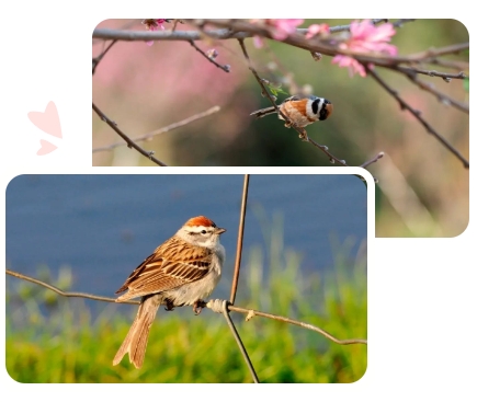 美高梅集团4688am(唯一)有限公司官网