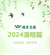 风起清明 遥寄相思|美高梅集团4688am集团?2024清明篇