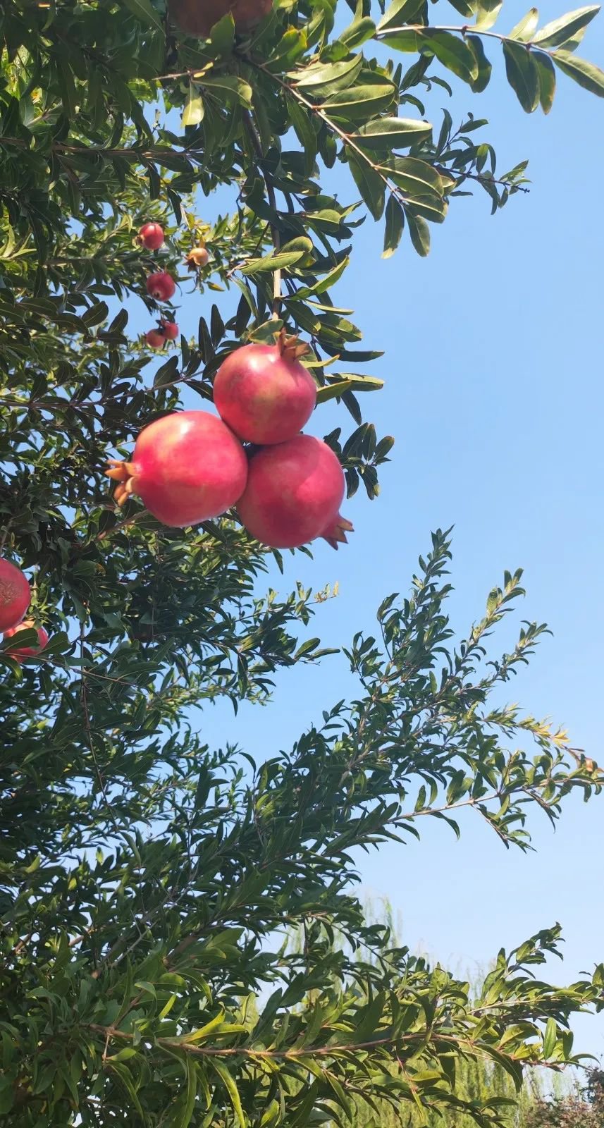 美高梅集团4688am(唯一)有限公司官网