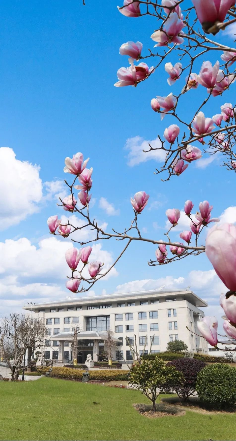 美高梅集团4688am(唯一)有限公司官网