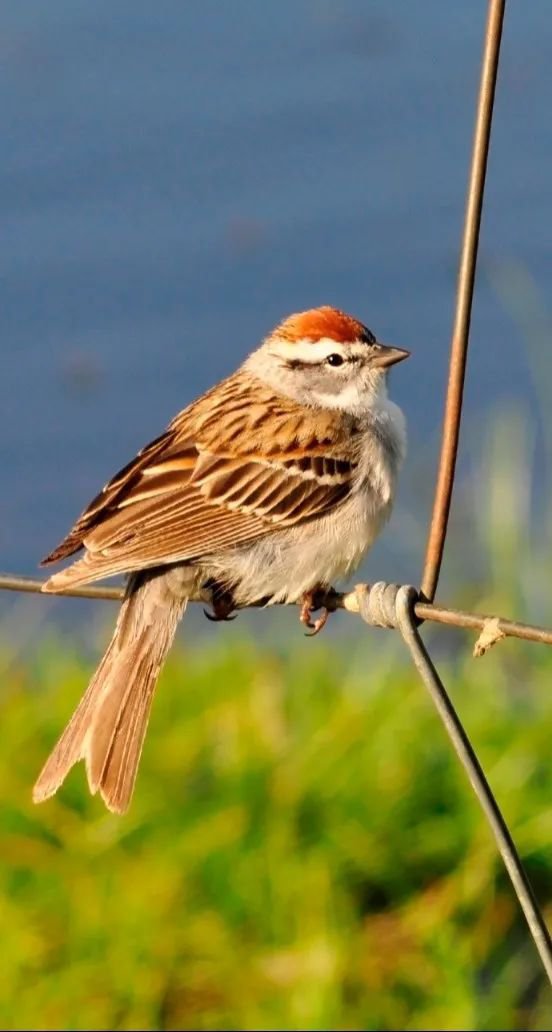 美高梅集团4688am(唯一)有限公司官网